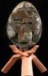 Septarian Dragon Egg Geode - Black Crystals #47471-1